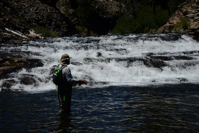 DSC_9926 (Large).JPG